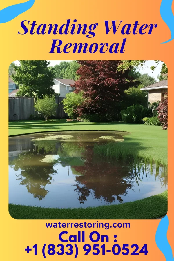 Standing Water Removal in Manhattan Beach, MN